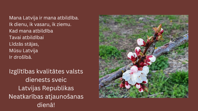 Plūmju ziedi, Izglītības kvalitātes valsts dienesta apsveikums Latvijas Republikas Neatkarības atjaunošanas dienā