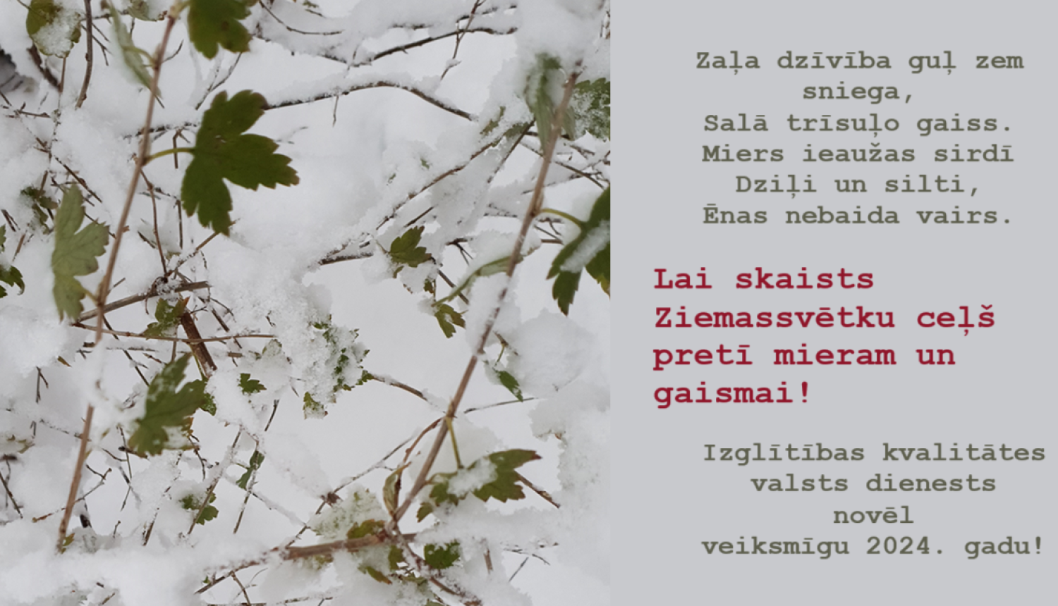 Izglītības kvalitātes valsts dienests novēl skaistus Ziemassvētkus un veiksmīgu 2024. gadu