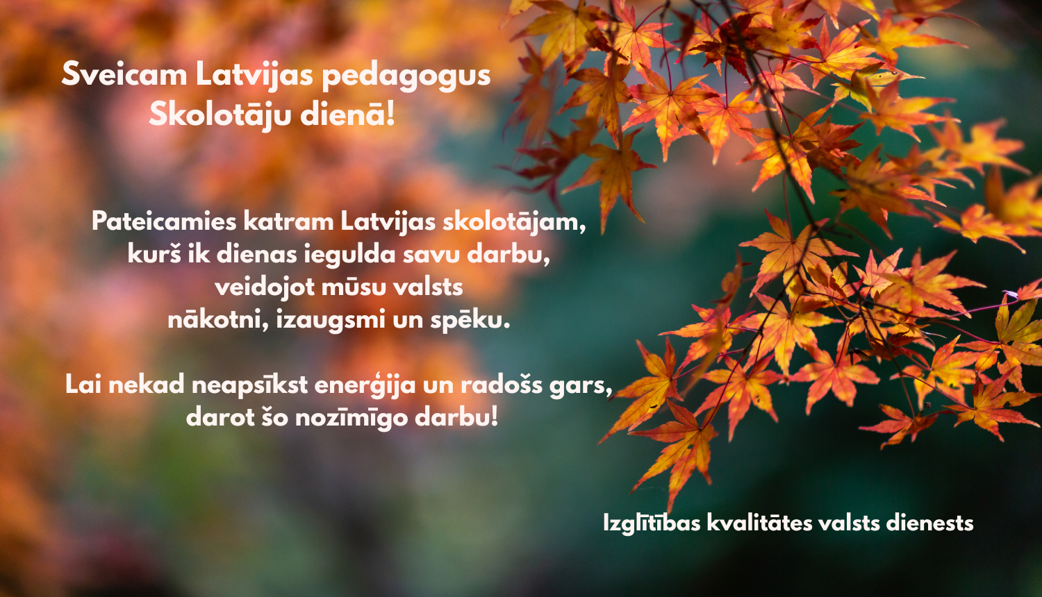 Sveicam Latvijas pedagogus Skolotāju dienā! Pateicamies katram Latvijas skolotājam, kurš ik dienas iegulda savu darbu, veidojot mūsu valsts nākotni, izaugsmi un spēku. Lai nekad neapsīkst enerģija un radošs gars, darot šo nozīmīgo darbu! Izglītības kvalitātes valsts dienests