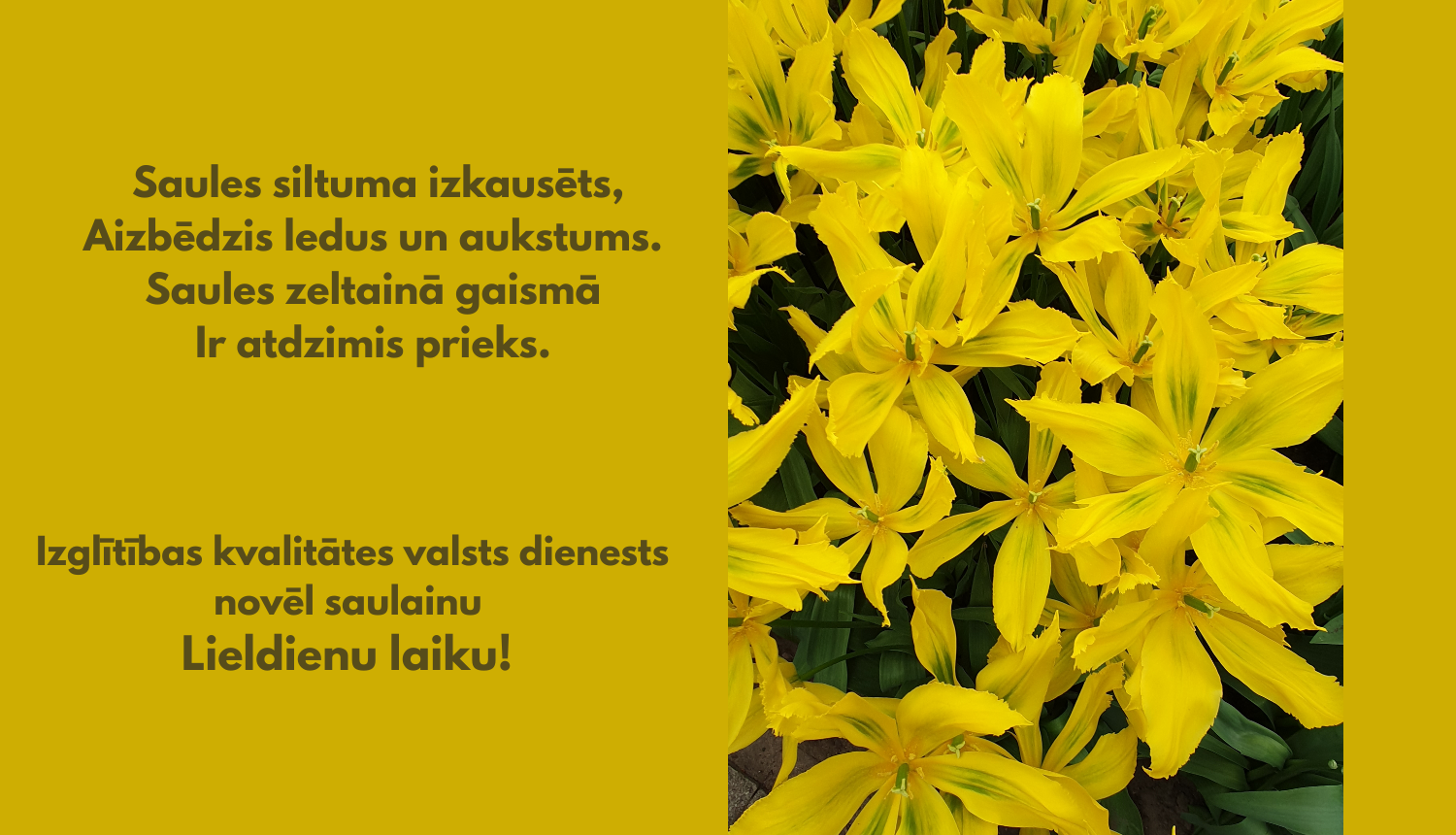 Saules siltuma izkausēts, Aizbēdzis ledus un aukstums. Saules zeltainā gaismā  Ir atdzimis prieks. Izglītības kvalitātes valsts dienests novēl saulainu Lieldienu laiku! 