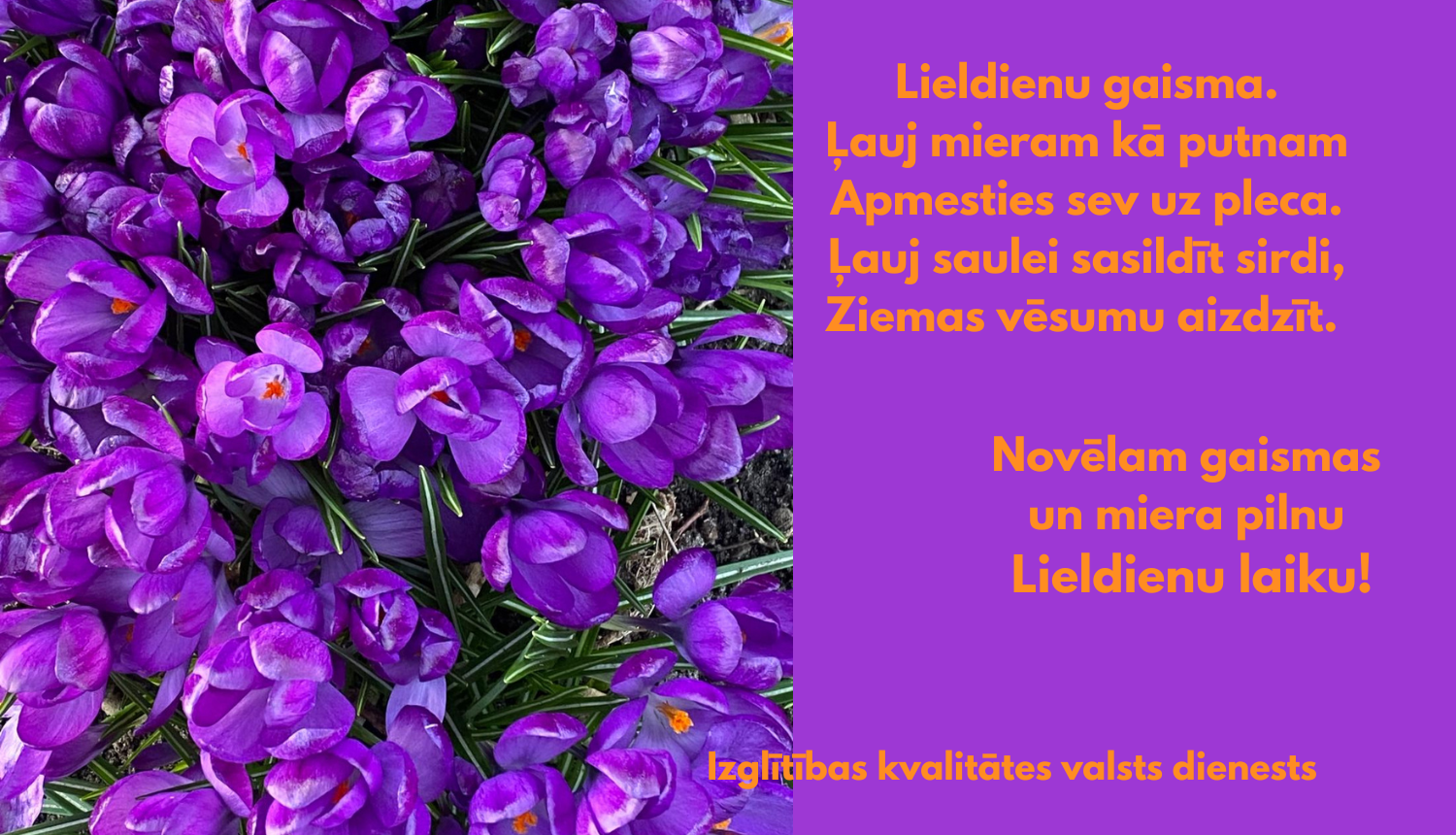 Violeti ziedi, Izglītības kvailtātes valsts dienests novēl gaismas un miera pilnu Lieldienu laiku!