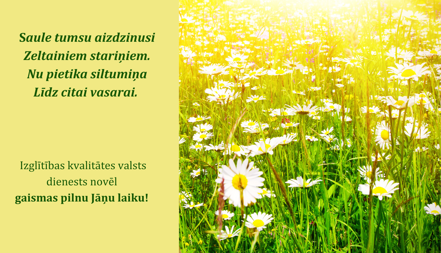 Teksts: Izglītības kvalitātes valsts dienests novēl gaismas pilnu jāņu laiku. Attēlā pļava ar ziediem