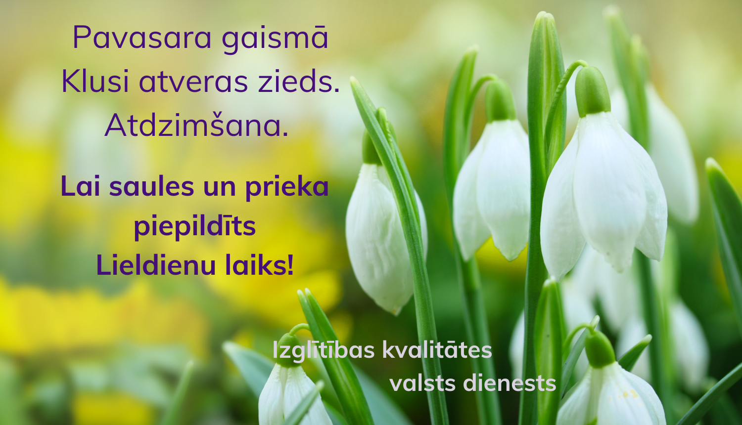 Izglītības kvalitātes valsts dienests novēl gaišu Lieldienu laiku, ilustratīvs attēls