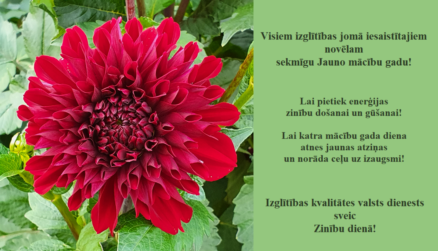 Izglītības kvalitātes valsts dienests sveic Zinību dienā