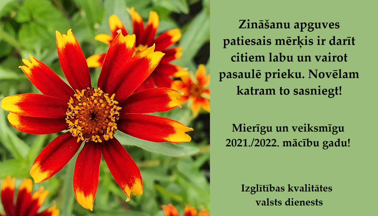 Izglītības kvalitātes valsts dienests sveic Zinību dienā!