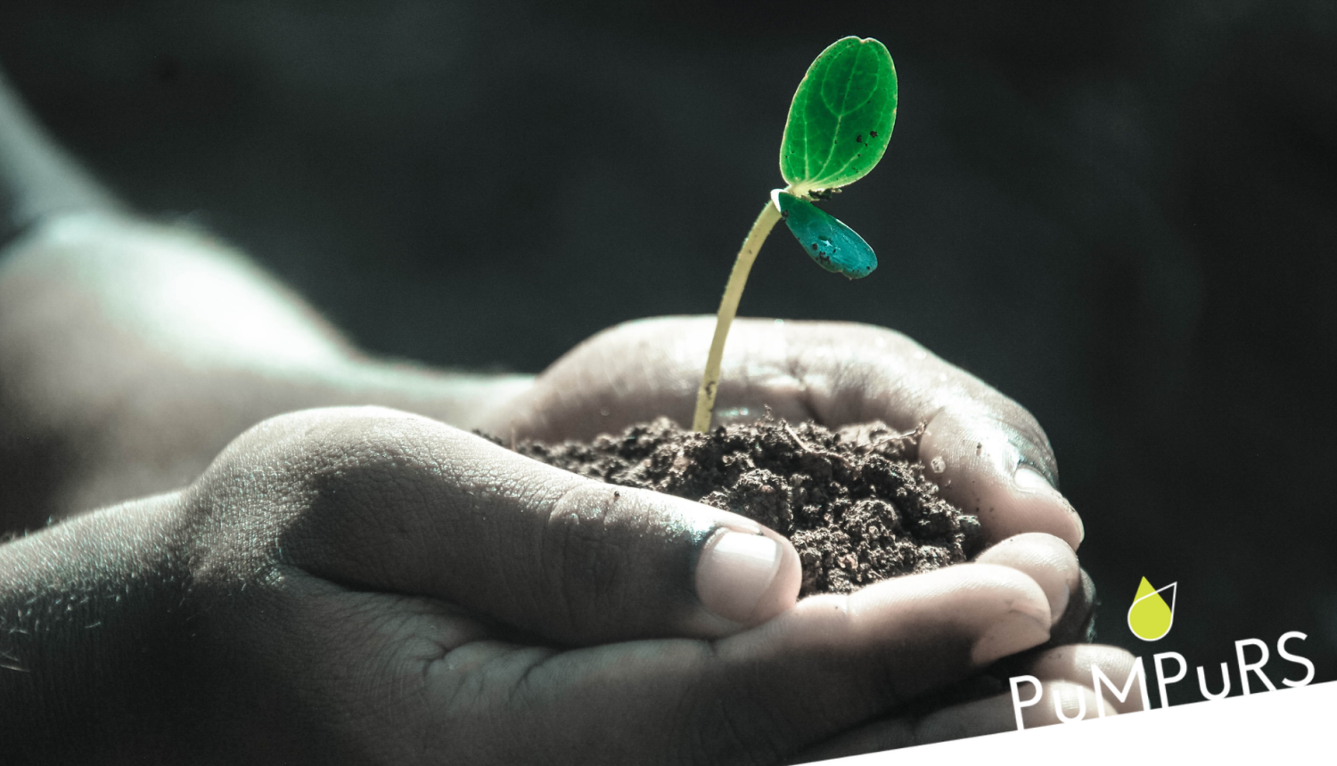 Ilustratīvs attēls